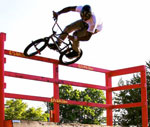 Matt LeViege