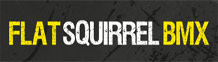 Flat Squirrel BMX